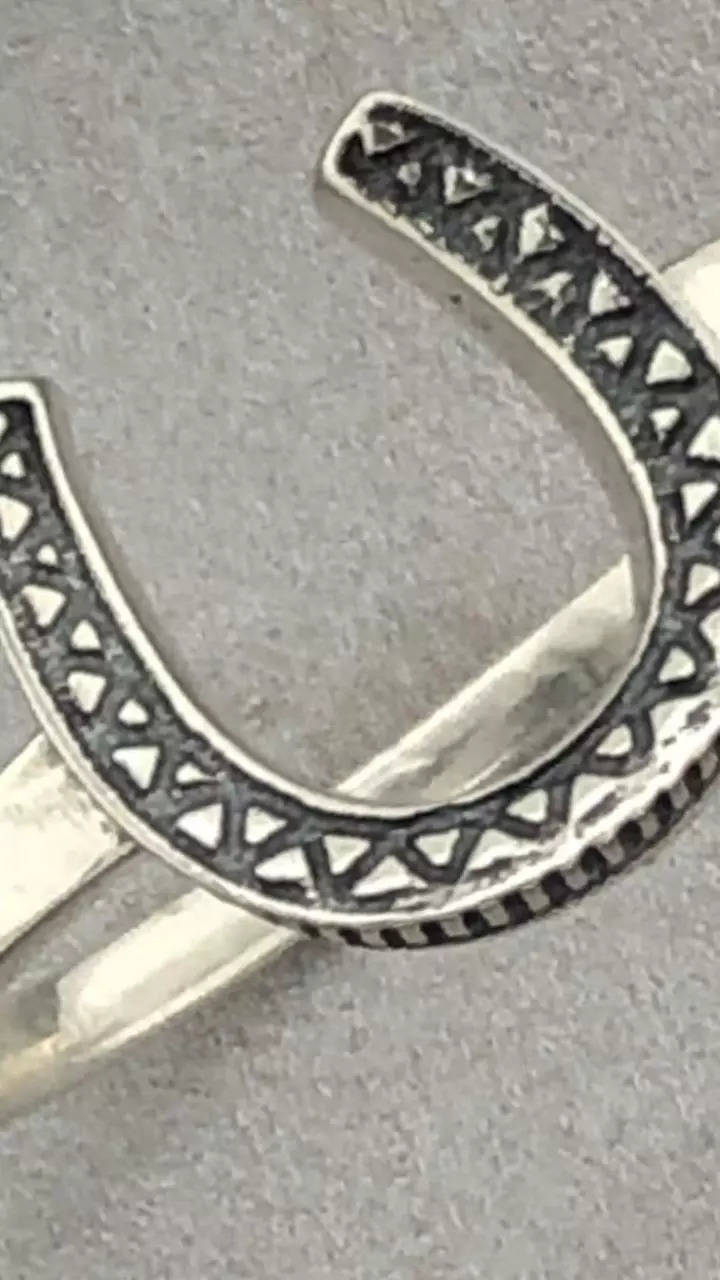 Sterling Silver Lucky Horseshoe Ring – Degs & Sal