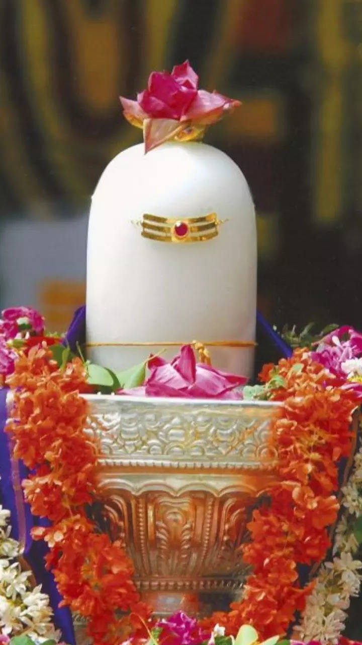 Download Celebratory Flower Offering Shiva Lingam Wallpaper | Wallpapers.com