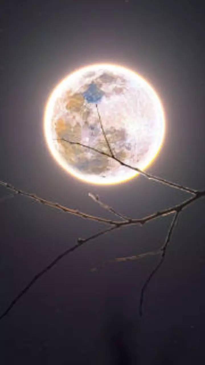 Moon Painting | Beautiful Nature Art