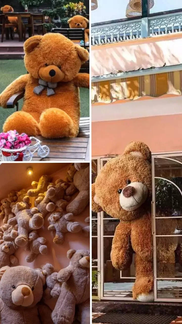 Shawty U Fine Galentines Gifts Valentines Day Teddy Bear Chocolates Gi –  Salty Bears