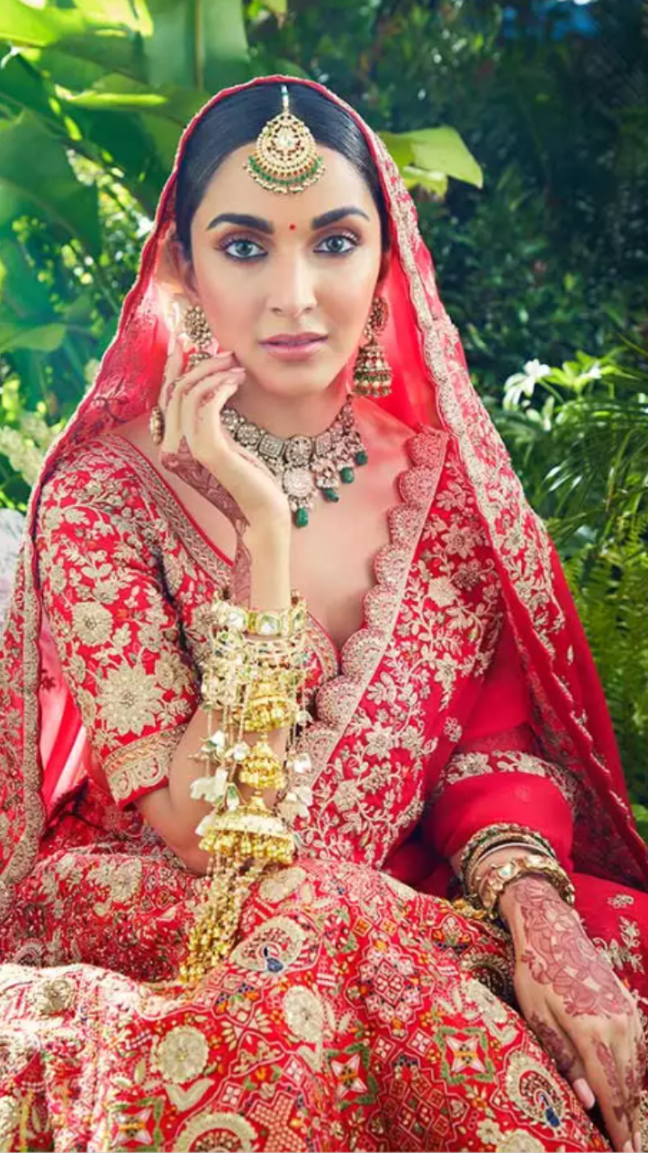 Blush Net Embroidered Wedding Bridesmaid Heavy Border Lehenga Choli