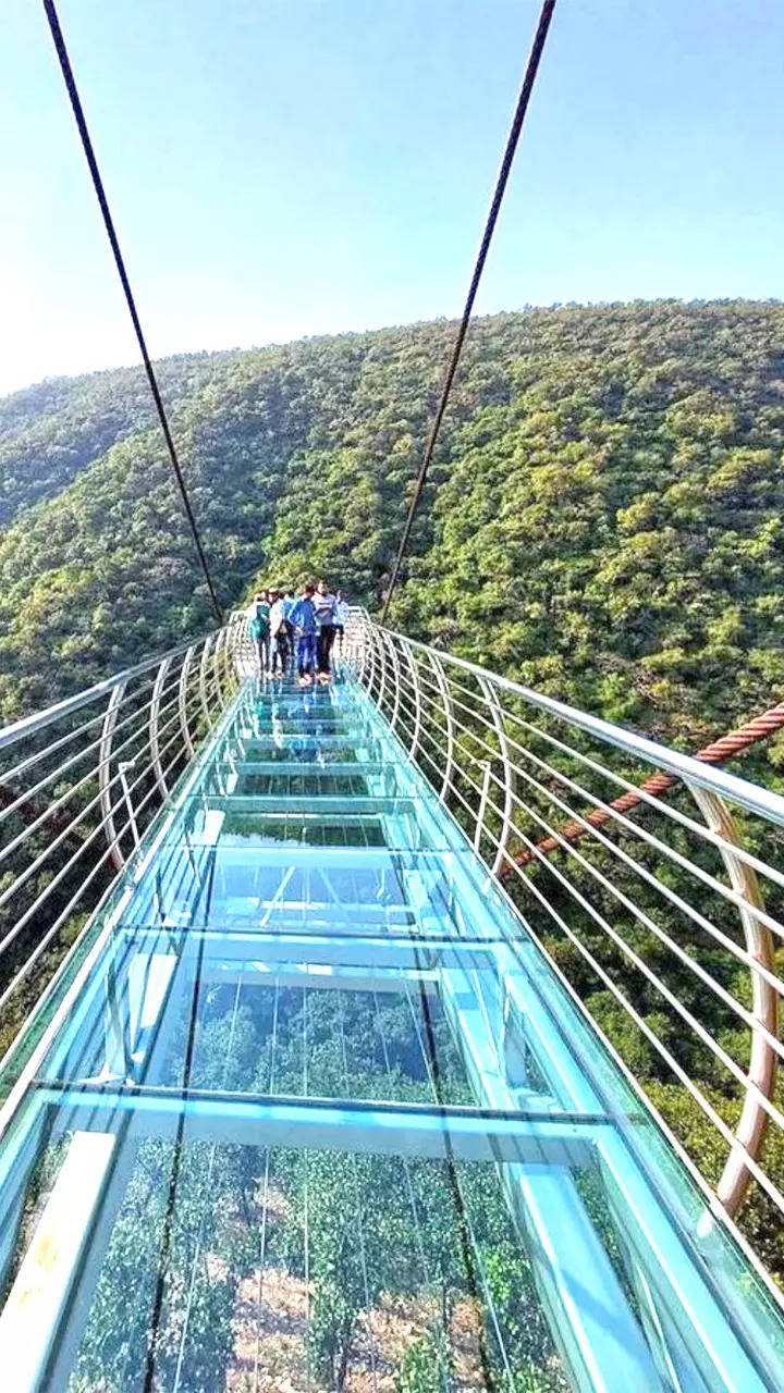 Glass Bridge in Rajgir Bihar: Glass Bridge of india, Glass Bridge in bihar,  Glass Bridge | Times Now Navbharat