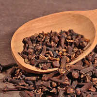 Eating cloves daily will increase sperm count in men