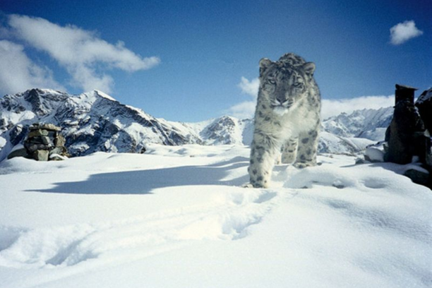 Hemis National Park