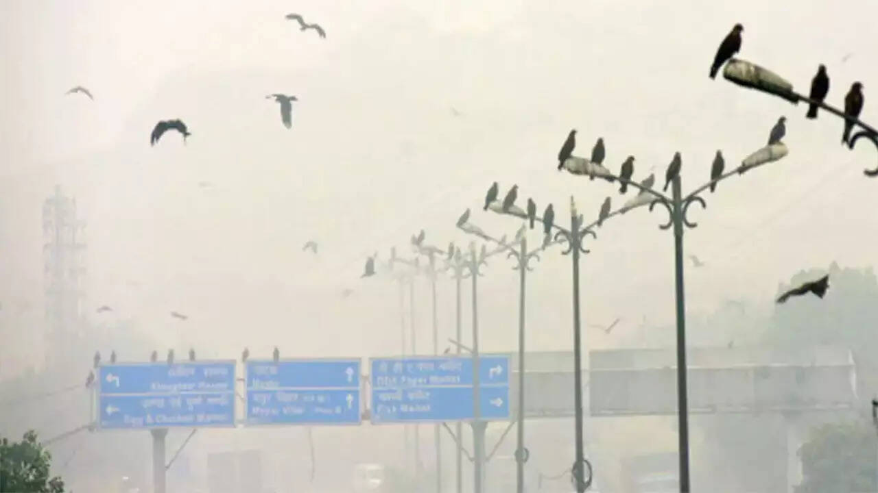 POLLUTION IN DELHI