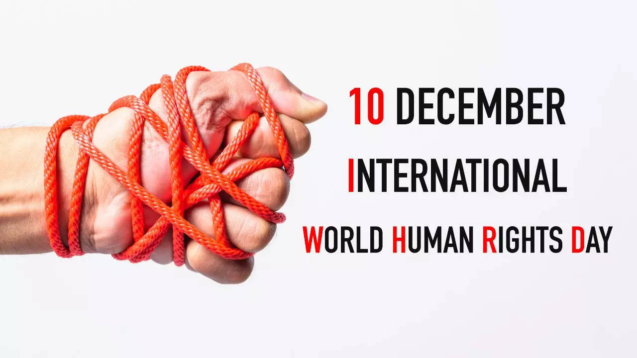 Theme Of Human Rights Day 2022 And Reason To Celebrate It 10 December