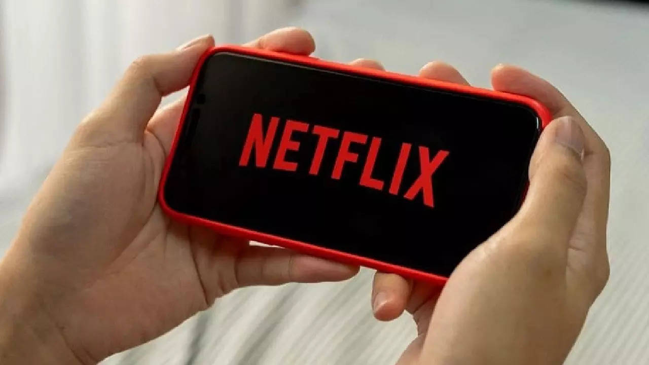 Netflix Paid Password Sharing