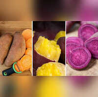Side Effects Of Sweet Potato in Hindiक्या सर्दी में खा रहे हैं ज्यादा