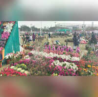A three day flower show will be inaugurated by the Authority on