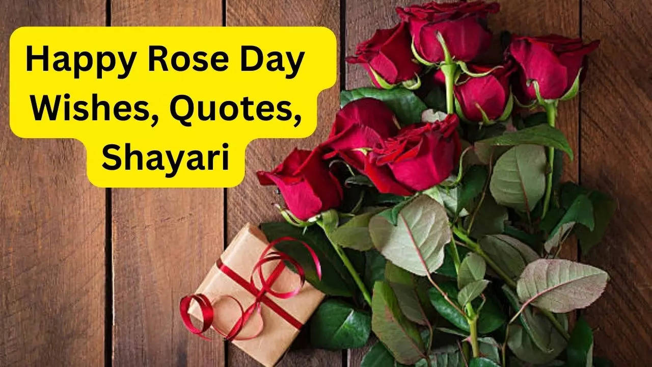 Happy Rose Day 2023: Date, Wishes Images, Quotes, Status ...