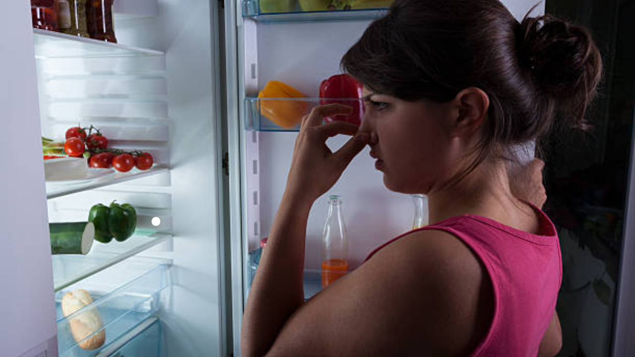 fridge, refridgerator, smell, food, summer