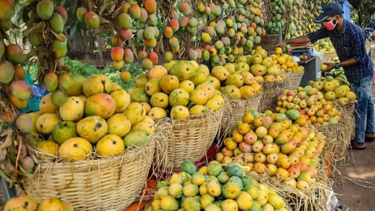 Mangoes production in India