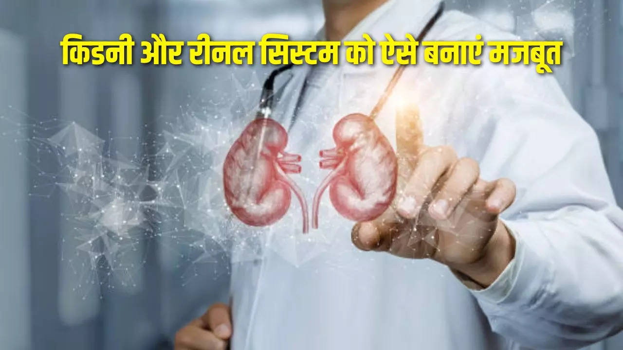 Kidney, Kidney Health, Healthy Kidney