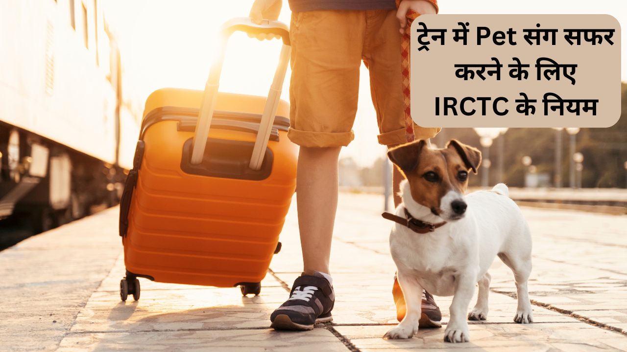 Pet Travel, How to travel with pets, indian railway pet