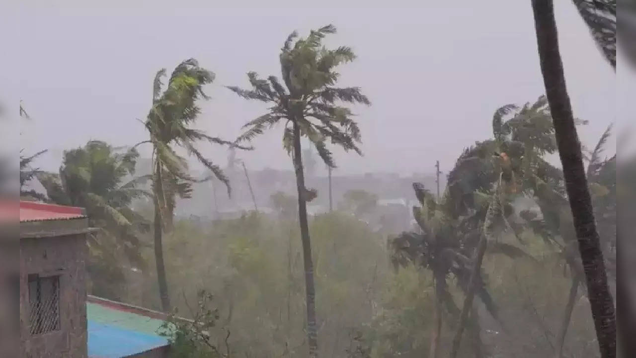 Cyclone Mocha, Cyclonic Storm, Bay of Bengal, India Meteorological Department