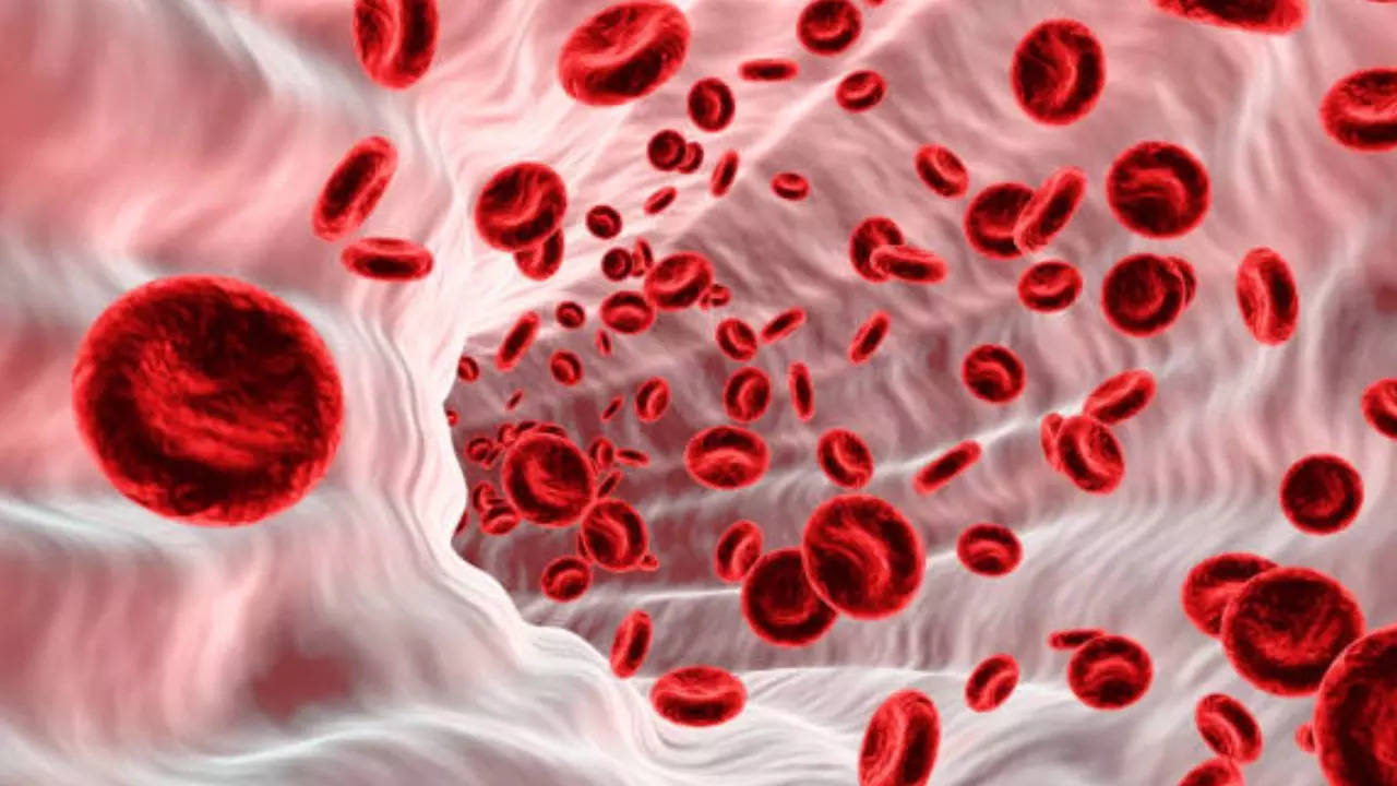 Hemoglobin, Superfood For Hemoglobin, Blood