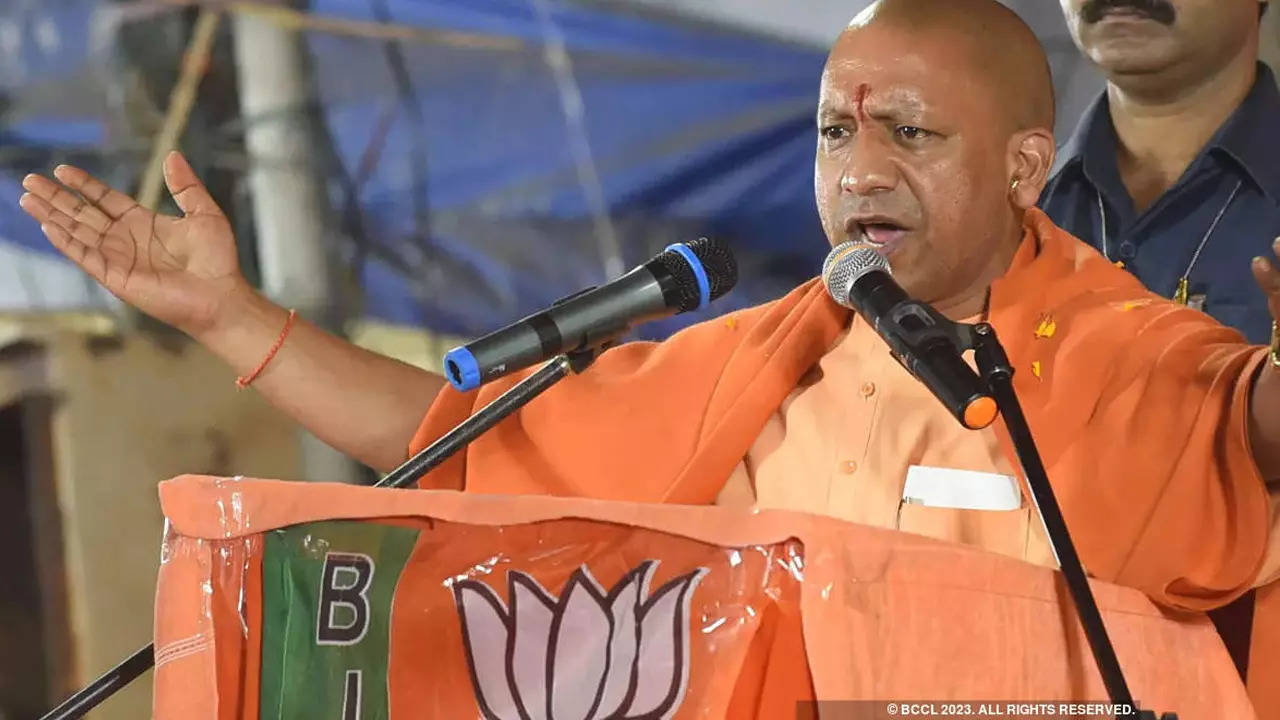 West UP Municipal Election Winner List, Yogi Adityanath