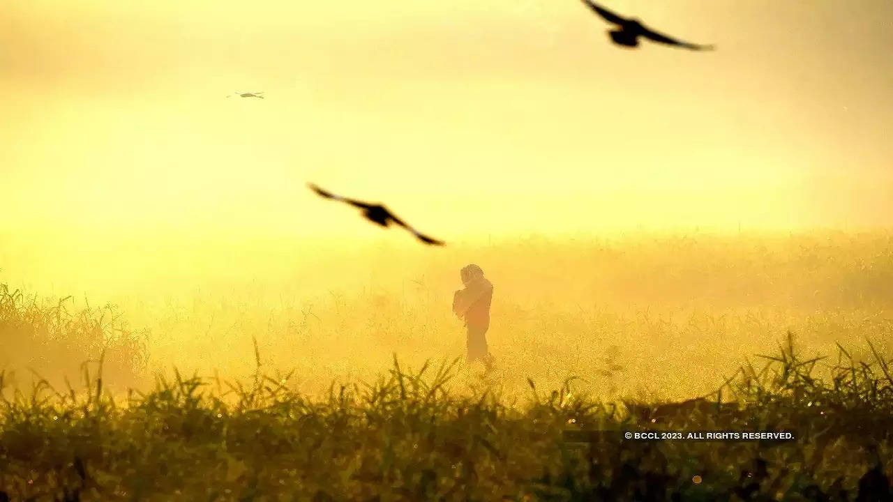 ​Weather Forecast, Weather Alert, Rajasthan Weather Alert