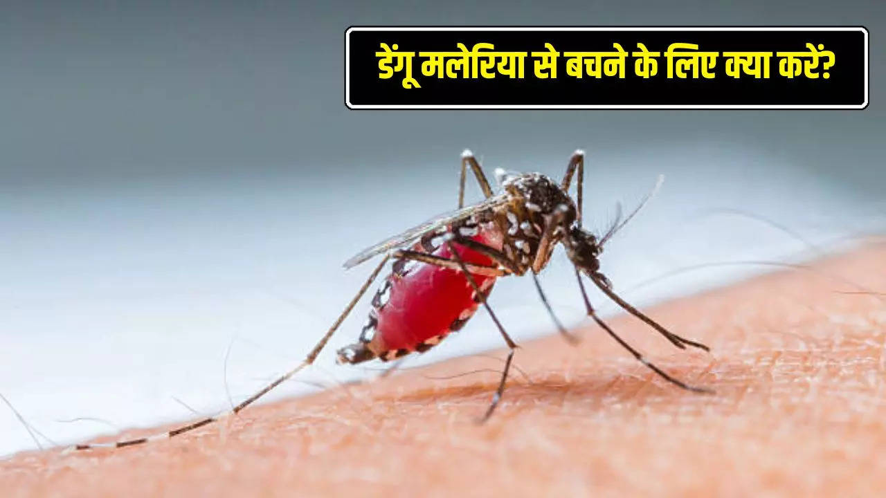 Dengue Malaria, Dengue Malaria Prevention