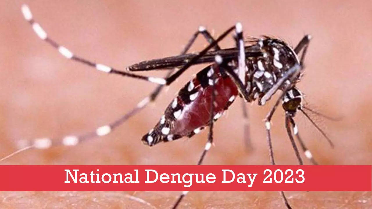 National Dengue Day 2023 Diet in Dengue