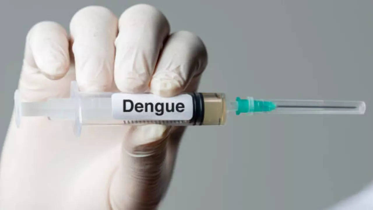 Testing Of The Third Phase Of Dengue Vaccine Will Be Done In August   100297643 