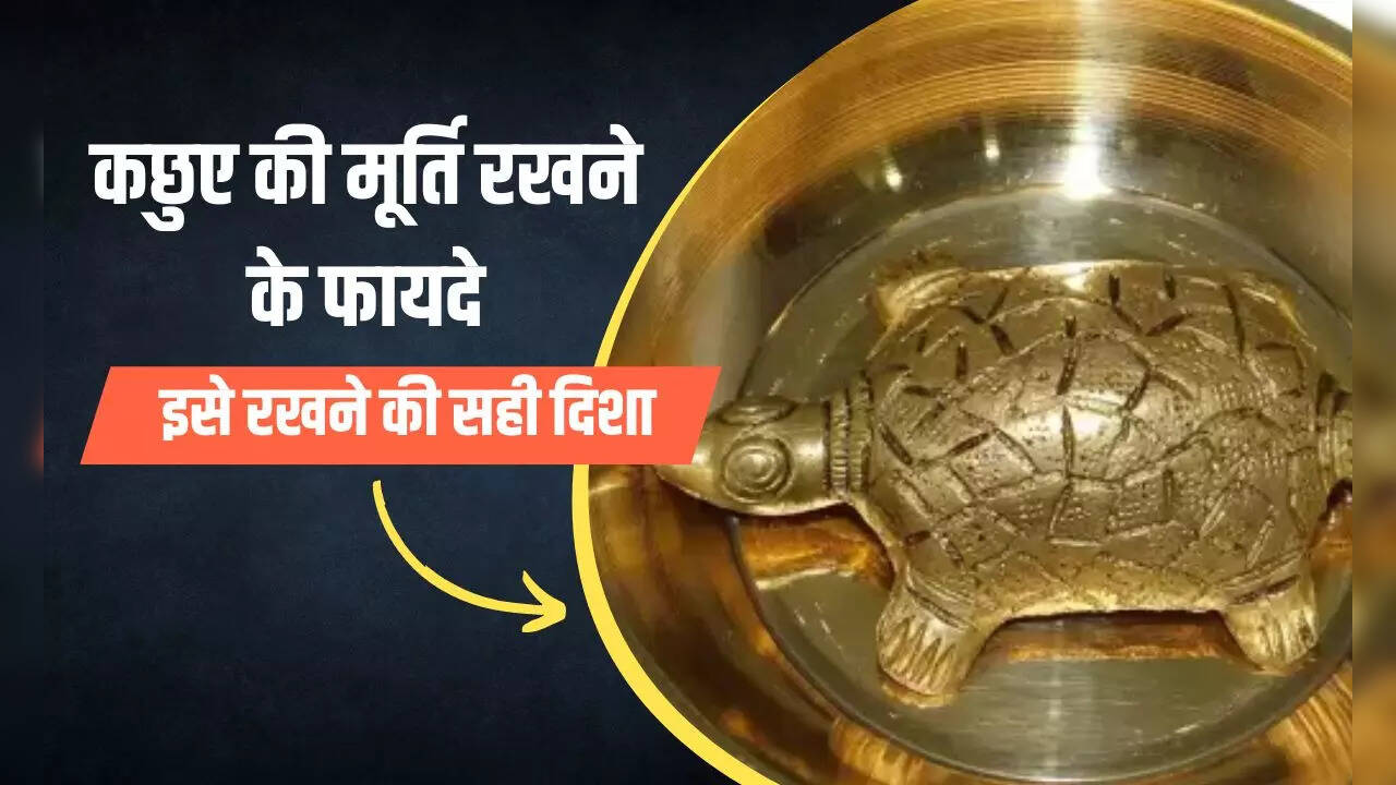 Tortoise Direction At Home And Its Benefits Where To Keep Tortoise At