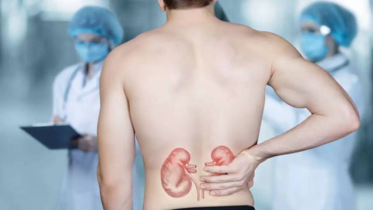 Kidney Health, Kidney Care, Kidney Disease