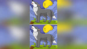5 3