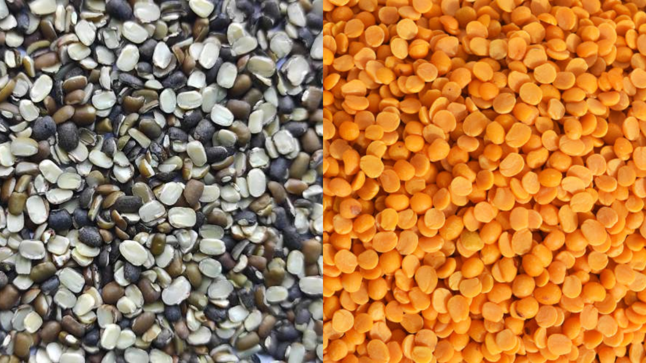 arhar, urad, dal, pulses stock limit, pulses prices