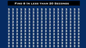 Optical Illusion 8
