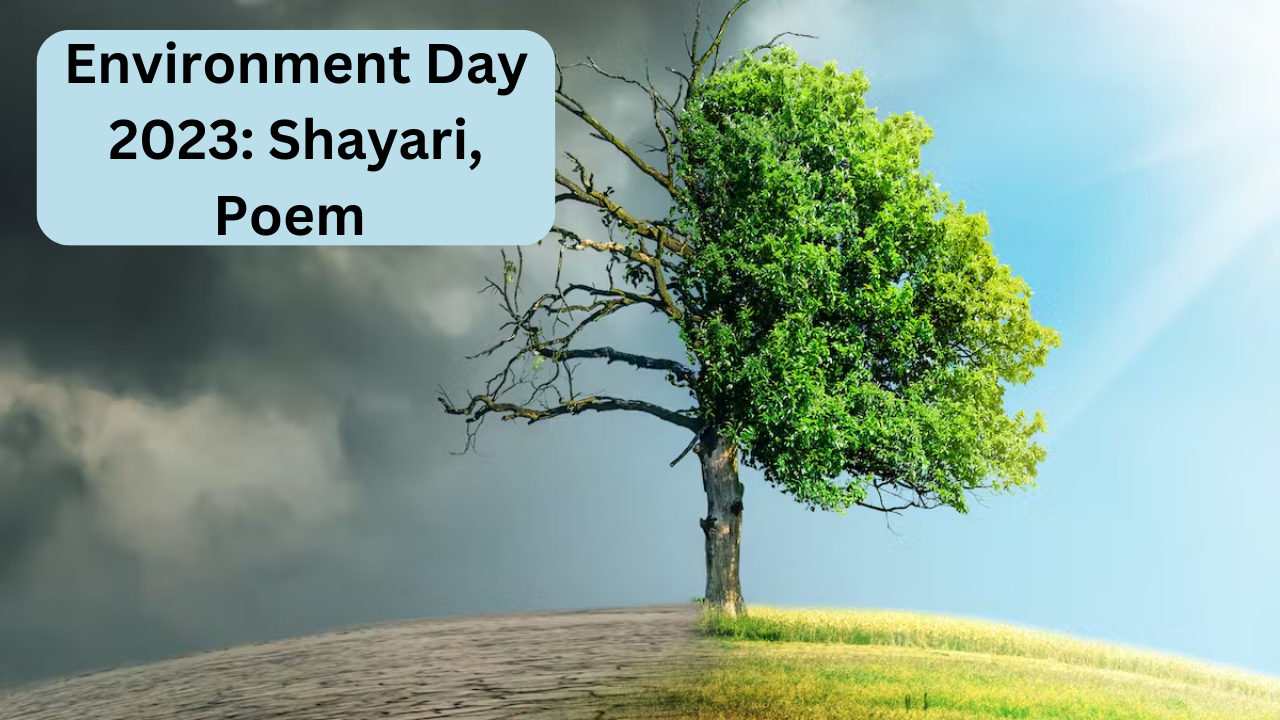 Environment Day, World environment day shayari, shayari wishes status in hindi