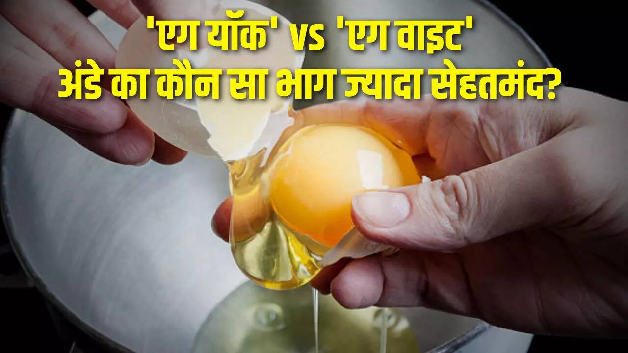 Egg Benefits 'अंडे की जर्दी या सफेद भाग,' जानिए कौन सा है सेहत के लिए