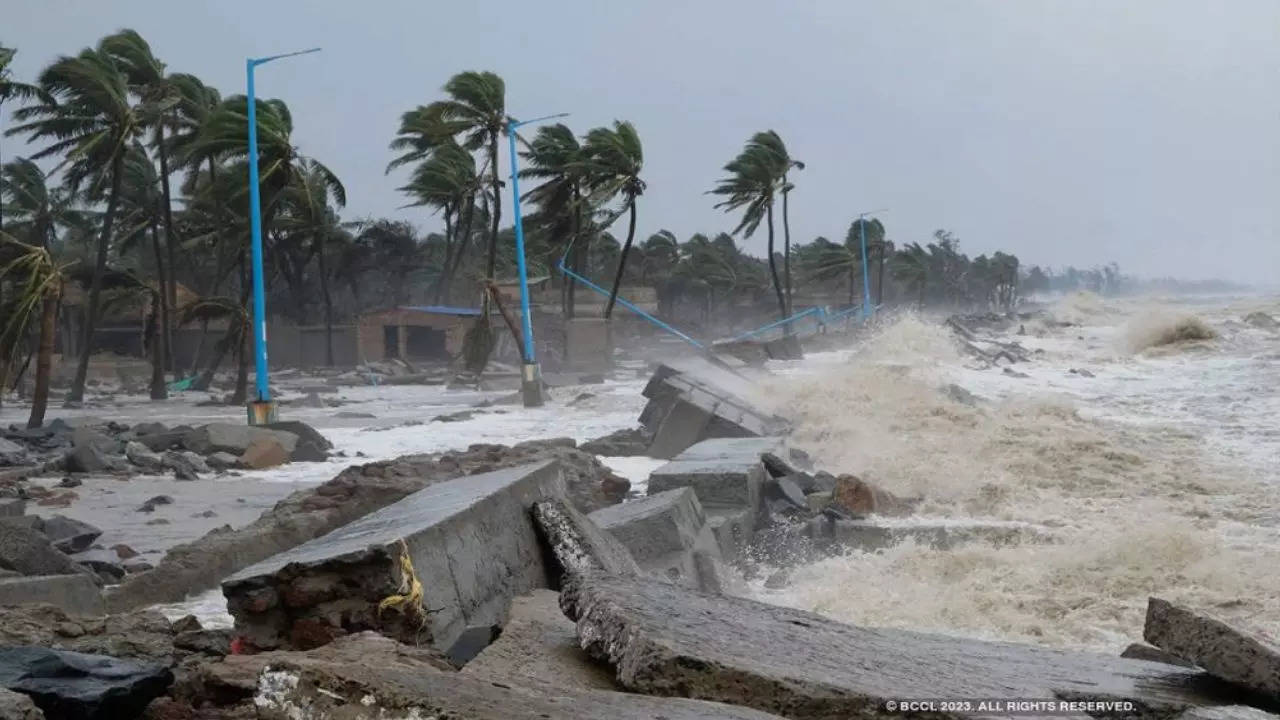 Cyclone  Biparjoy Update, Cyclone Biparjoy, IMD Forecast, Cyclone News, Weather Update