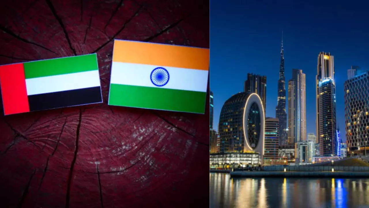 UAE Investment In India