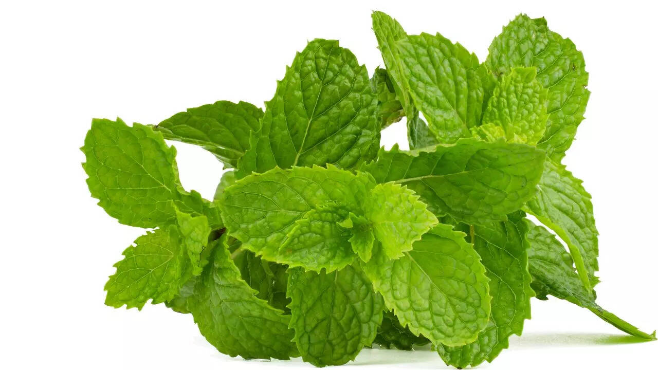 Mint Drinks syrup to remove heat, you will get great taste with