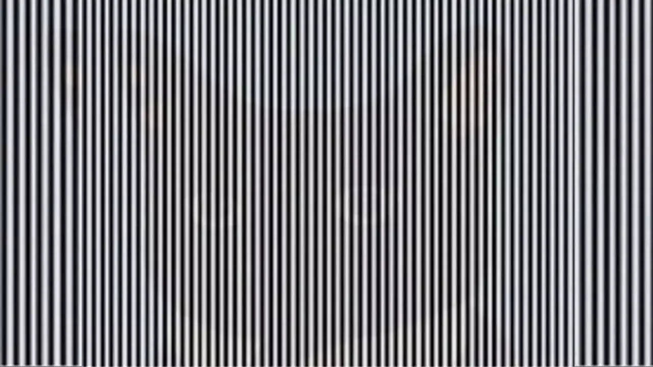 optical illusion