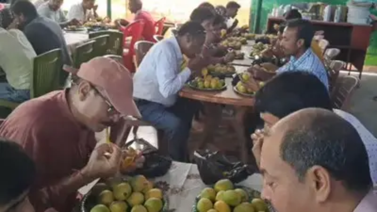 Mango Eating Contest