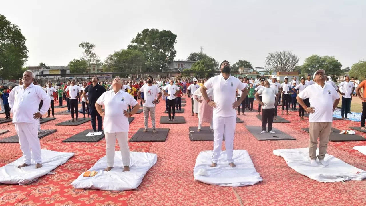 International Yoga Day 2023, Yoga Day