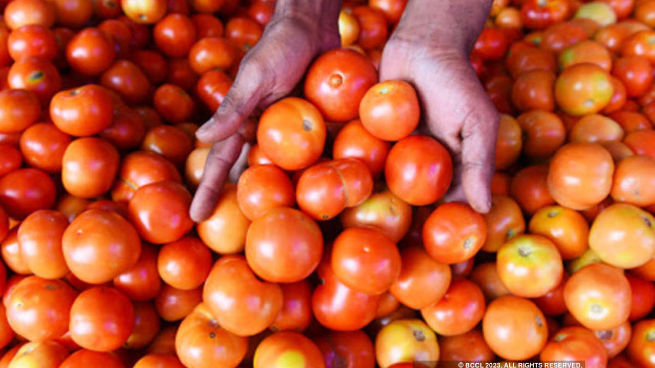 Tomatoes Cross 100 Rupees Per Kilo