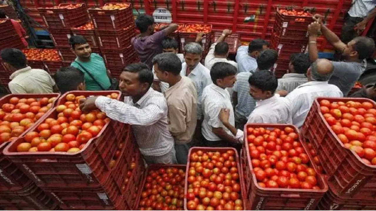 tomato price and history