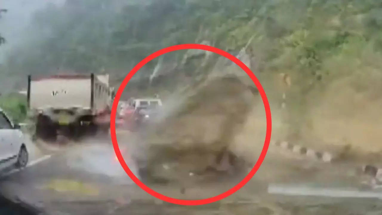 nagaland car viral video