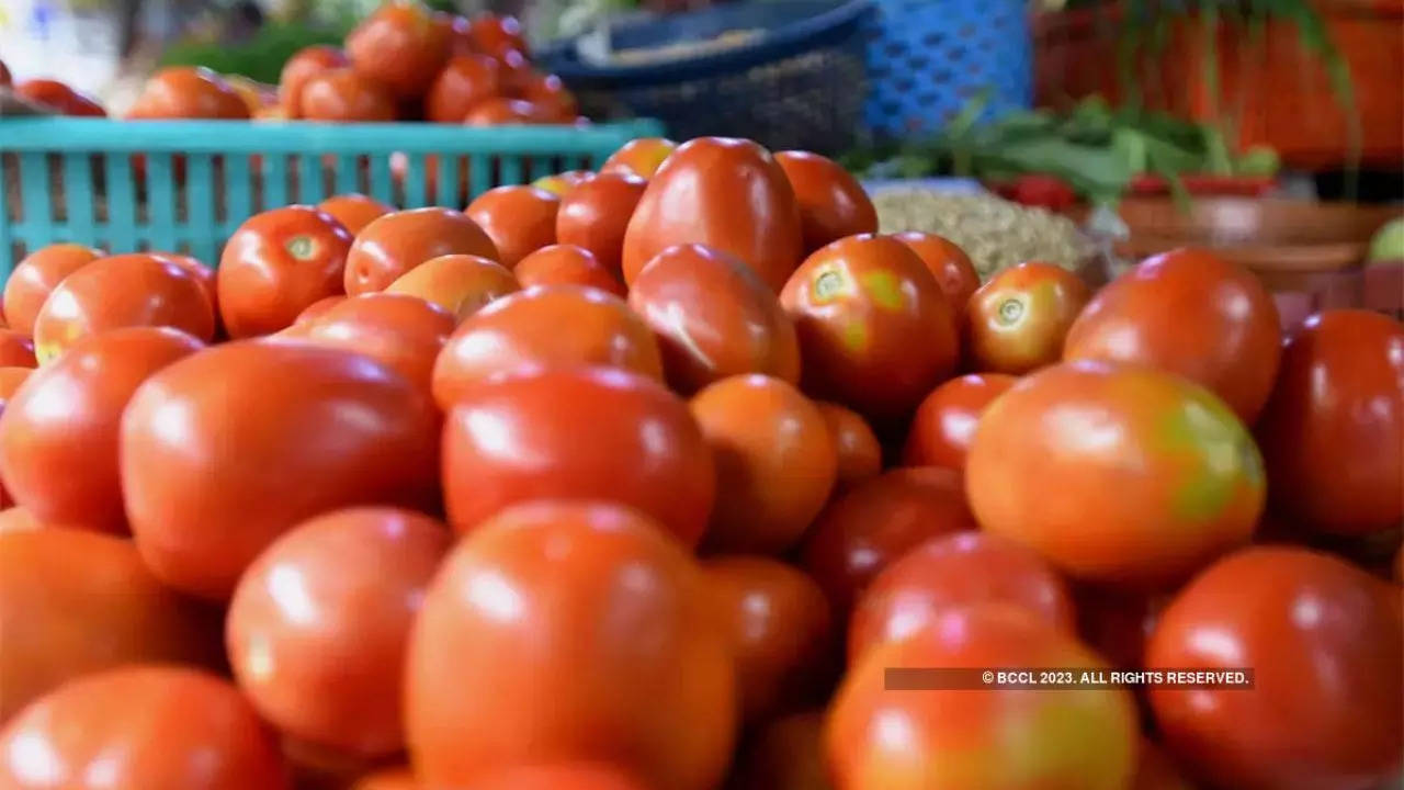 Tomatoes stolen, tomato price