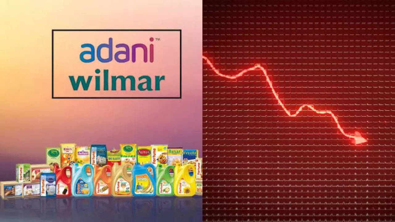 Adani Wilmar Stock Target