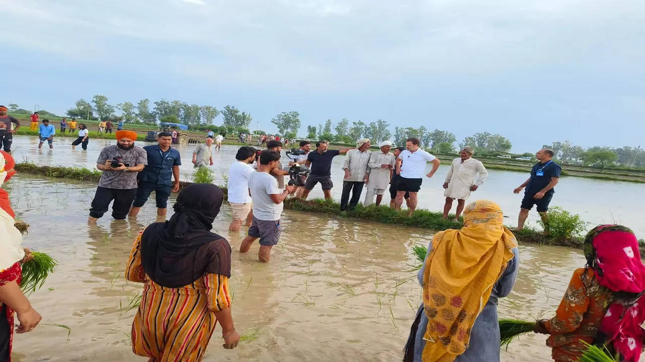 Rahul Gandhi, Sonipat