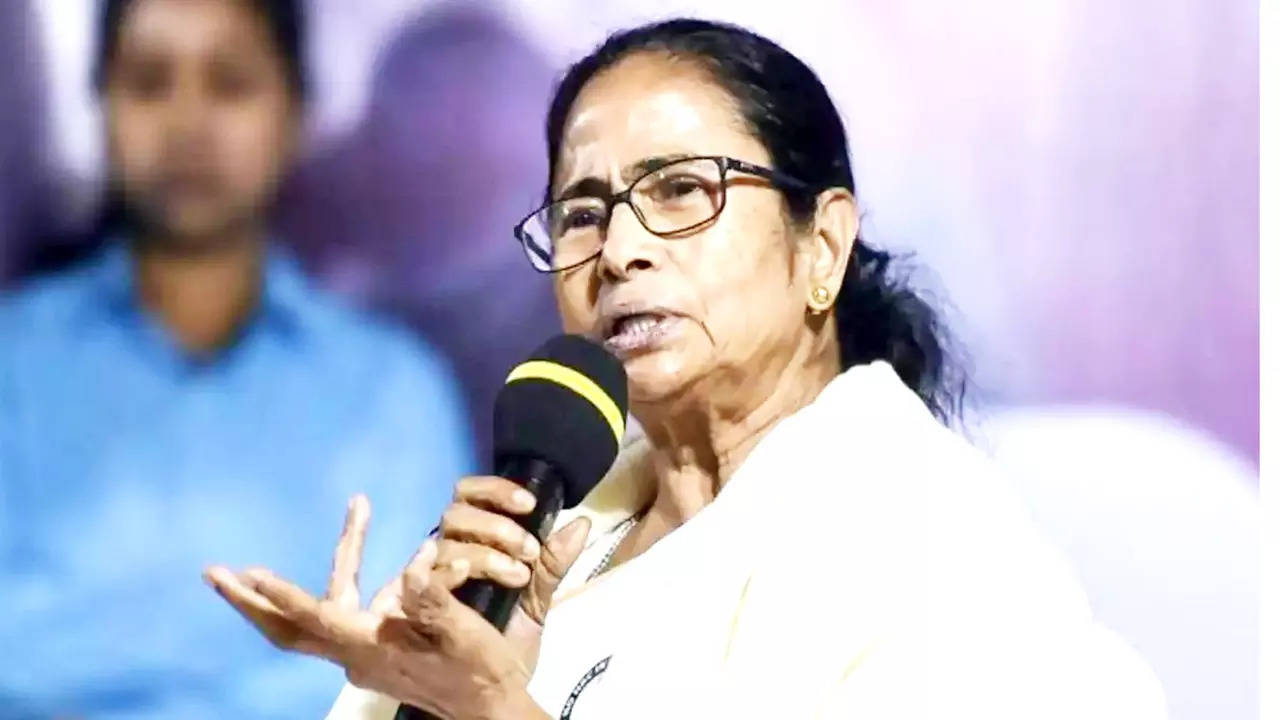 MAMATA BANERJEE on Bengal Panchayat Chunav