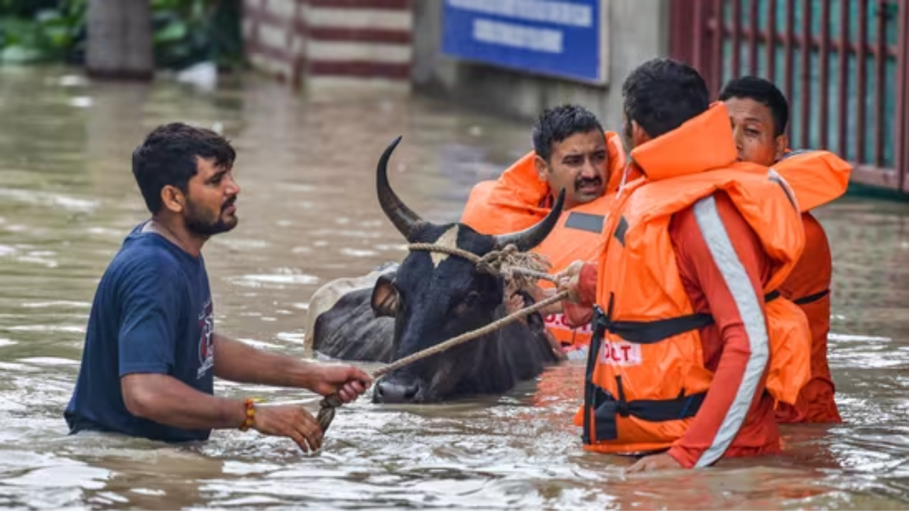 Delhi rain and flood