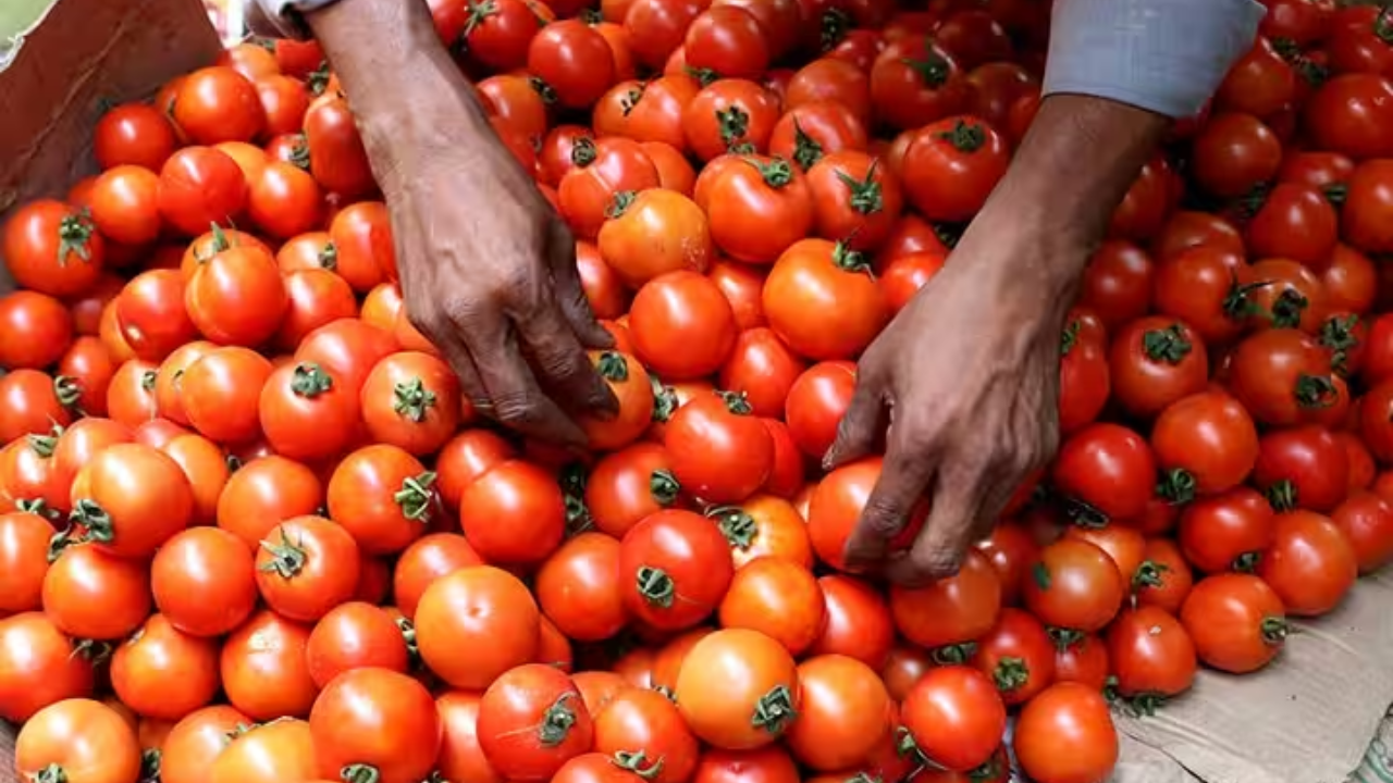 Farmer Earns Crore By Selling Tomatoes: