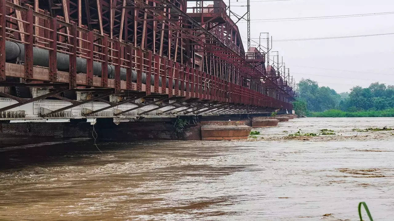 delhi flood, delhi old bridge