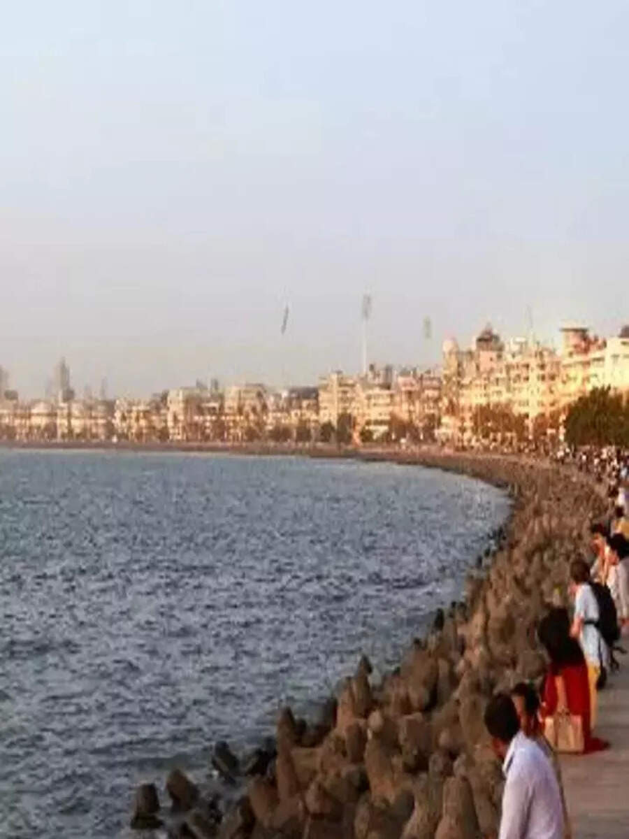 the marine drive stone placed along is called tetrapod know about facts