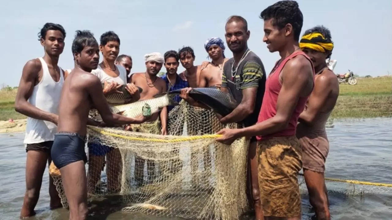 Fisheries, fish farming business, fish farming business in Chhattisgarh